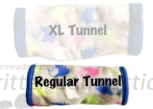 Regular Tunnel
