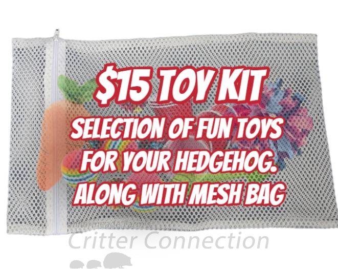 $15 Toy Kit